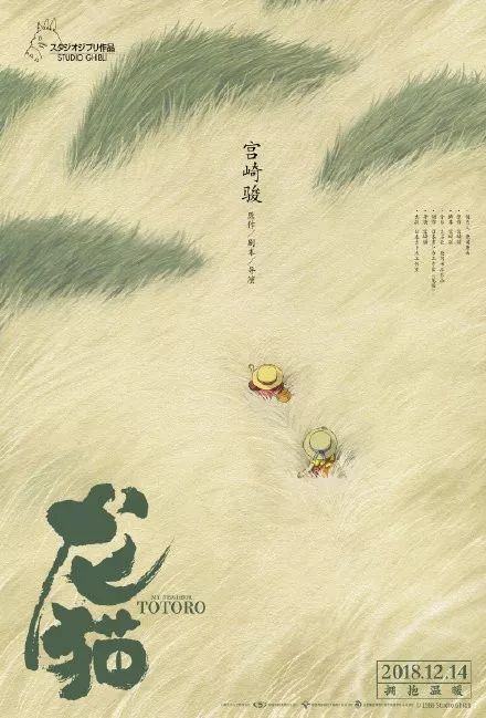 仿制阿塞拜疆驾驶执照